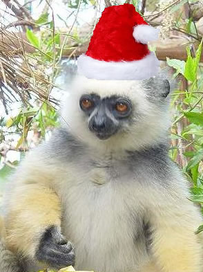 Weihnachten und Neues Jahr Gruss